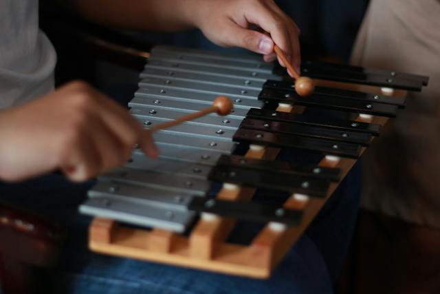 "Xylophon Holz" hat nur eine Bedeutung: Der Begriff meint ein bestimmtes Instrument, für dessen Herstellung Baumstämme verwendet werden.