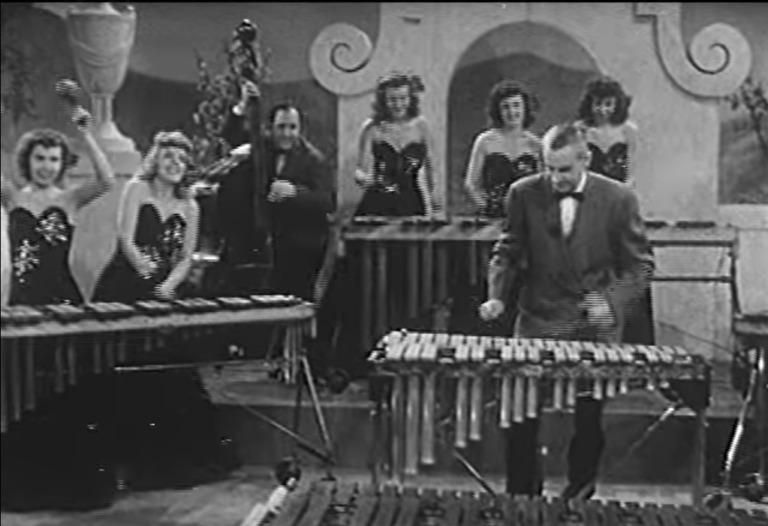 Mann spielt auf marimbaähnlichem Schlagzeug aus Metall.