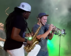 Reggae Instrumente Posaune und Saxophon? Weiter verbreitet sind doch Gitarren und Drums.