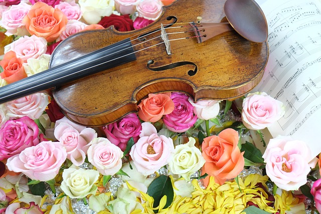 Die Geige ist ein gitarrenähnliches Instrument.