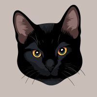 cat cat