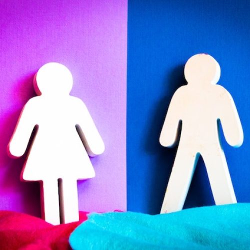 Zwei Geschlechter – welches entscheidet sich für die Harfe? Wenn ein Mann Harfe lernen will, wird er oft dumm angesehen. Das war nicht immer so. Mittlerweile setzt sich langsam die Vorstellung durch, dass auch Männer das Zeug zum Harfenmusiker haben.