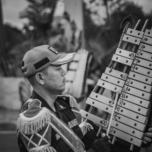 pexels-romawi-namaasli-11931649 Xylophon Holz: Manche denken, wenn sie den Namen des Instruments hören, es sei nur etwas für Erwachsene. Dem ist nicht so. Es gibt sehr große Xylophon-Modelle. Wobei das Instrument einfach zu spielen ist.